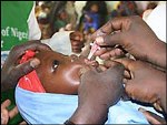 Vaccine ‘could end Nigeria polio’