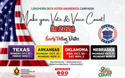 NAS Longhorn Deck Voter Awareness Campaign: Make Your Vote and Voice Count in 2024